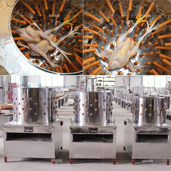 poultry chicken duck feather plucker machine poultry chicken duck feather plucker machine